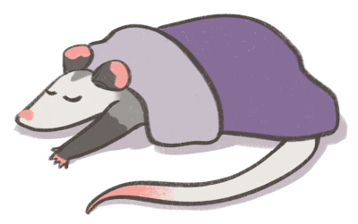 Drawing of a sleeping possum under a small purple blanket
